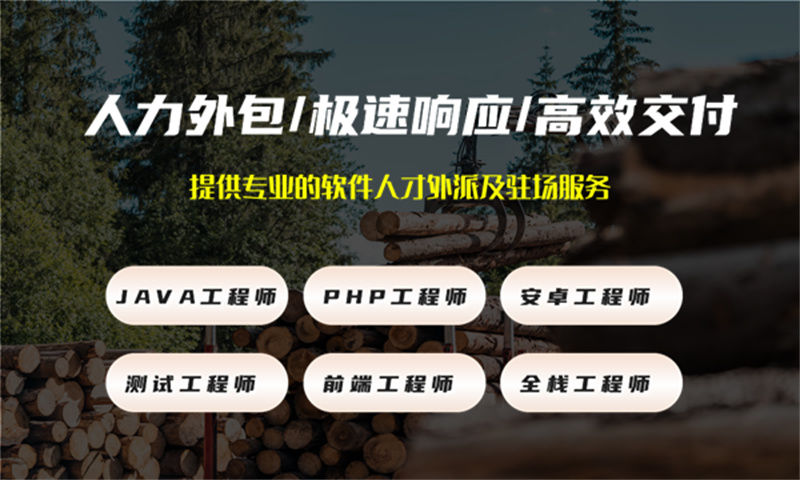 合肥GIS开发驻场外包：企业高效解决技术人才需求的黄金方案