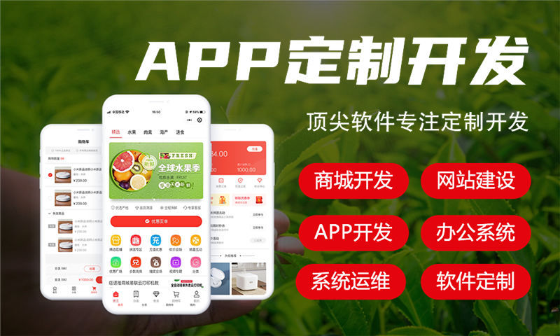 合肥全域购二二公排系统小程序开发：数字化转型的高效解决方案