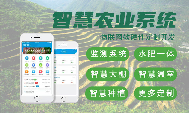 济南STM32开发服务助力企业高效转型：物联网智能硬件开发的破局之道