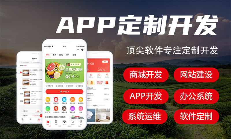 合肥企业数字化转型难题破解：链动2+1系统小程序奖励制度开发解决方案