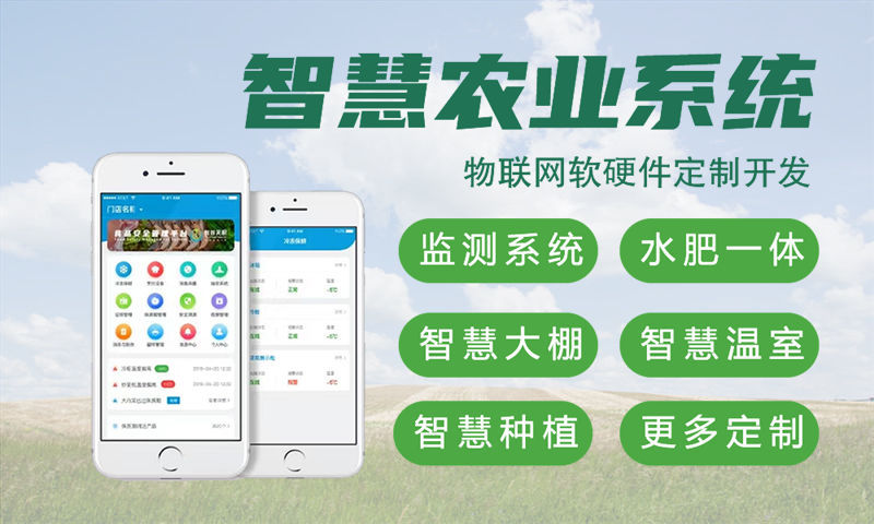 天津嵌入式测试开发：物联网智能硬件研发的高效解决方案