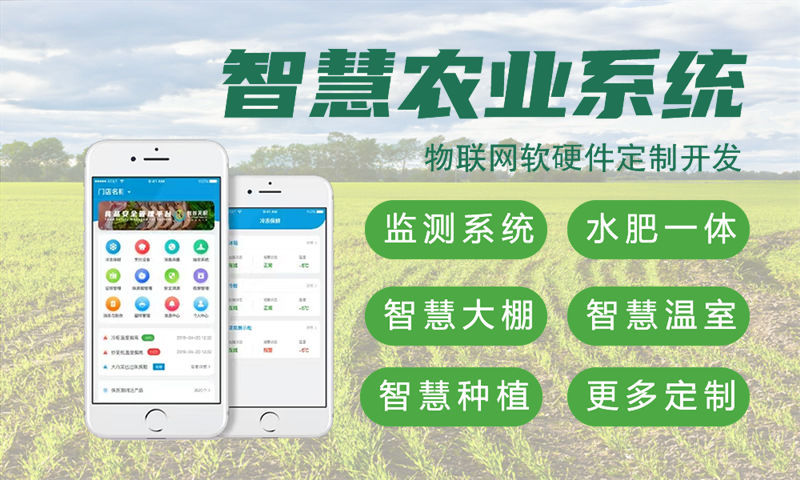 泉州物联网开发解决方案：单片机智能硬件开发如何破解企业研发困境