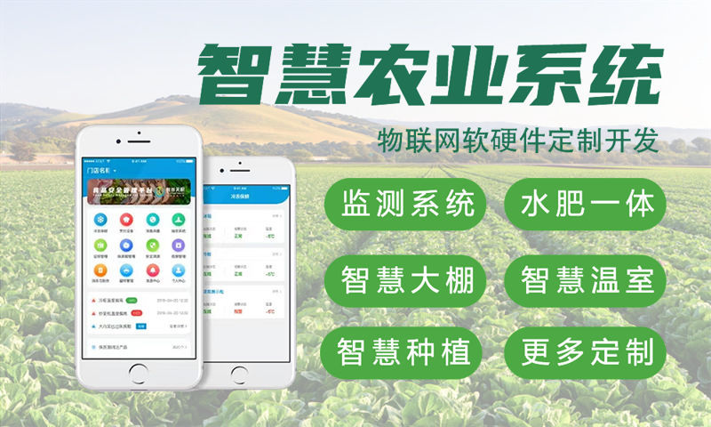 成都物联网开发：嵌入式项目开发如何助力企业破解智能硬件研发难题