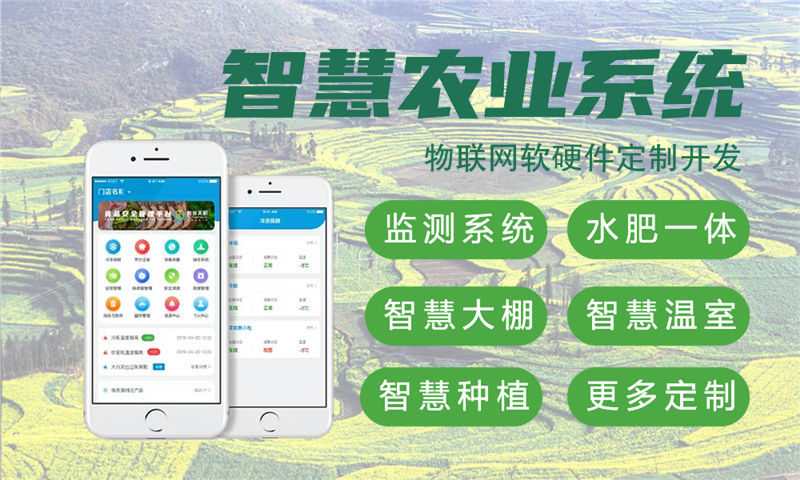 泉州智能硬件开发：物联网单片机解决方案助力企业高效转型