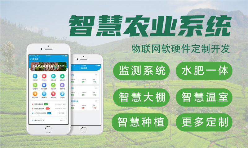 福州物联网开发：嵌入式软件工程师如何助力企业突破智能硬件研发瓶颈？