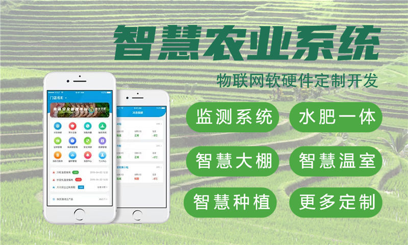 南京物联网开发企业如何通过硬件调试缩短研发周期？专业单片机开发解决方案解析