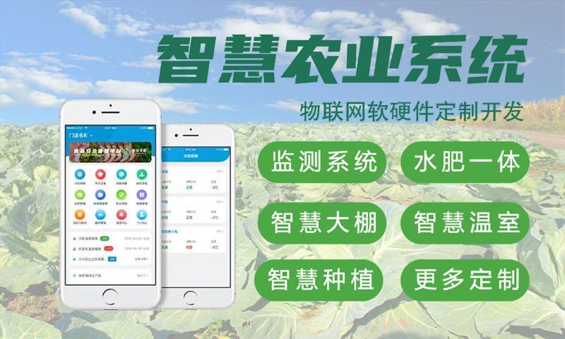 上海物联网开发：智能硬件研发难题破解之道，专业外包服务助力企业高效转型