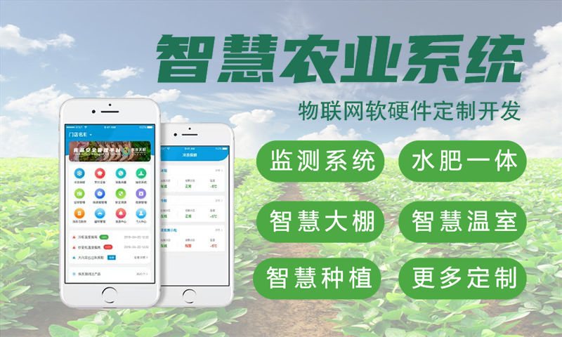 上海物联网开发如何解决企业智能硬件研发难题？嵌入式应用开发方案深度解析