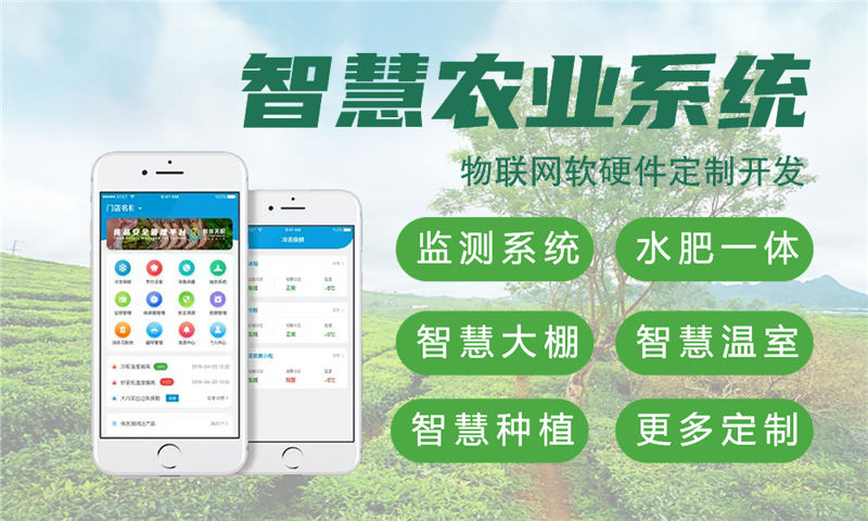 宁波嵌入式安全开发：破解智能硬件研发难题，助力企业高效转型