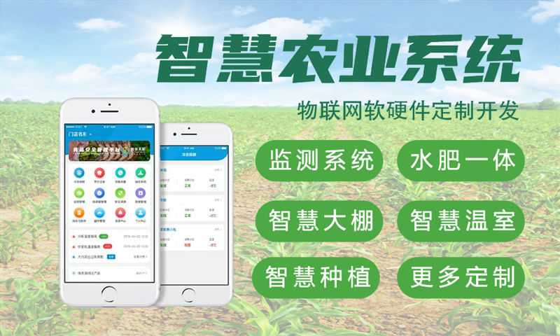 常州物联网开发如何突破嵌入式图像处理技术瓶颈？专业解决方案助力企业降本增效