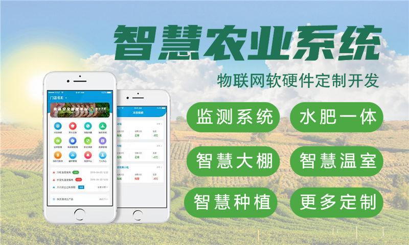 东莞物联网开发如何实现嵌入式性能优化？专业智能硬件开发解决方案