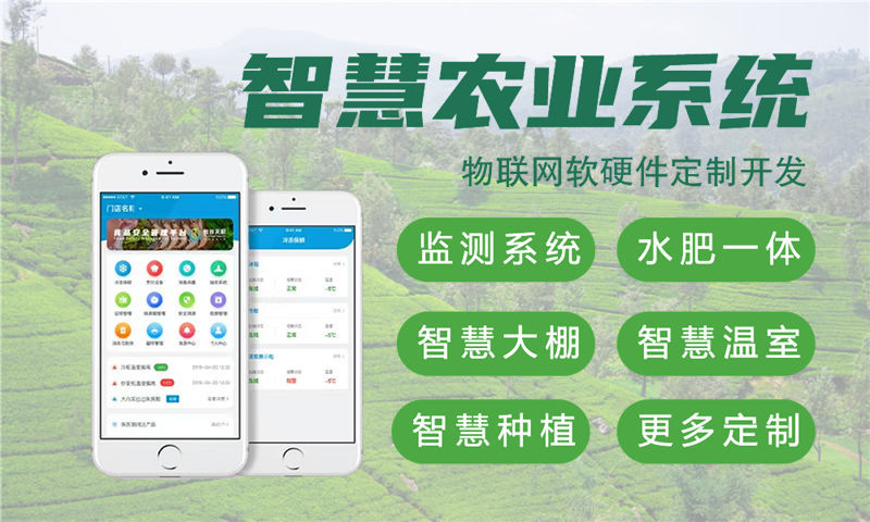 佛山物联网开发难题破解：嵌入式测试开发如何助力企业降本增效