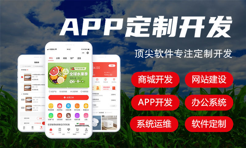 深圳全域购二二大公排系统开发软件：破解企业运营痛点的数字化解决方案