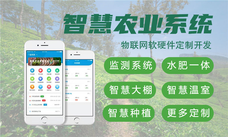 无锡嵌入式图像处理开发：物联网智能硬件研发的高效解决方案