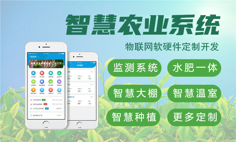 苏州嵌入式音视频开发解决方案：物联网智能硬件开发的高效之选