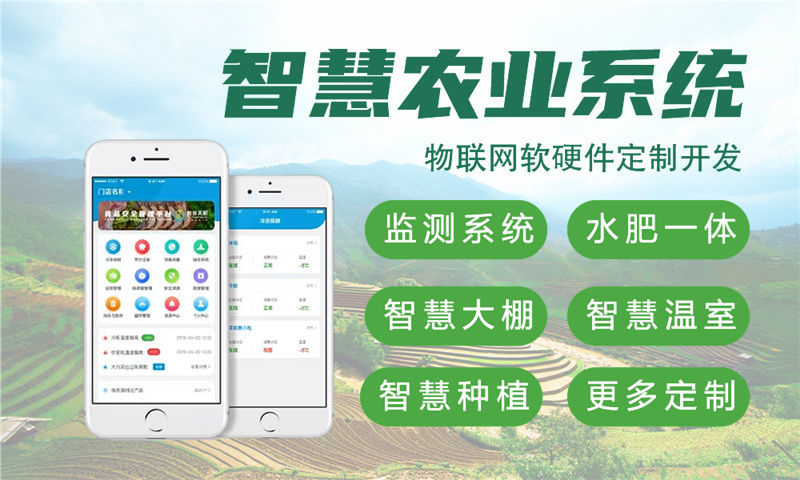 深圳嵌入式项目开发：物联网智能硬件开发的高效解决方案