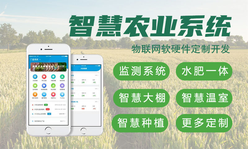 烟台Raspberry Pi开发解决方案：智能硬件研发的高效路径