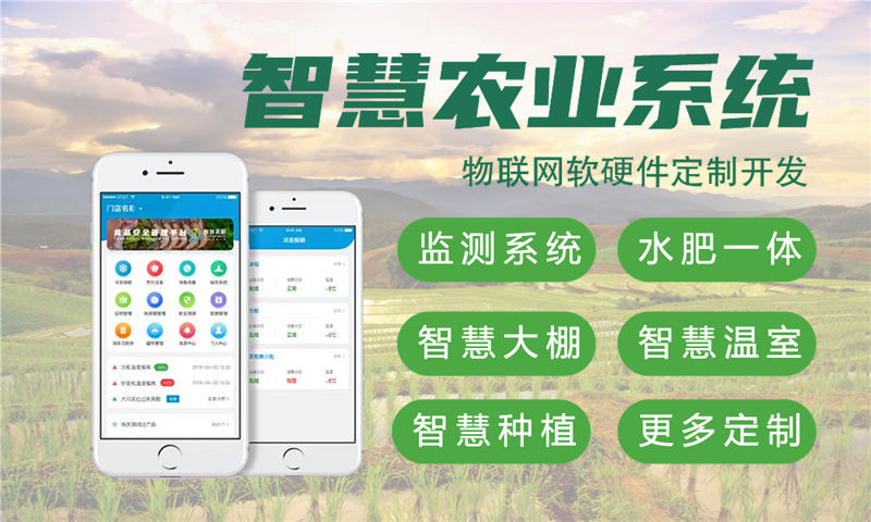 武汉嵌入式Linux开发：破解智能硬件研发难题的高效解决方案