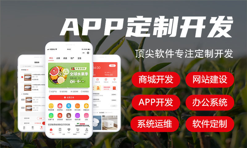 西安十度人脉商城模式软件开发：助力企业数字化转型的智能解决方案