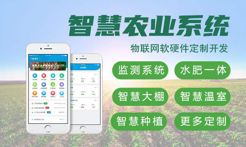 合肥物联网开发难？专业嵌入式软件工程师助力智能硬件高效落地