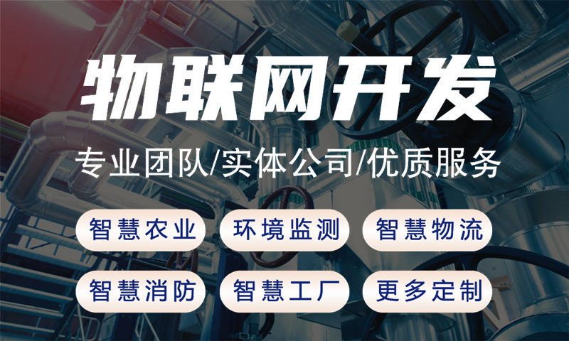 武汉Raspberry Pi开发：破解智能硬件研发周期长、成本高的难题