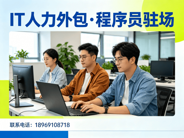苏州IT人力外包解决方案：解决企业技术人才招聘难题
